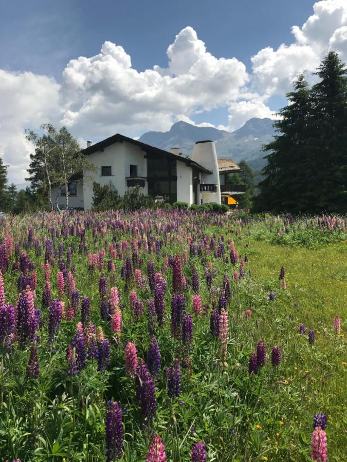 Chesa Suot Ovas Apartment Sils Maria Bagian luar foto