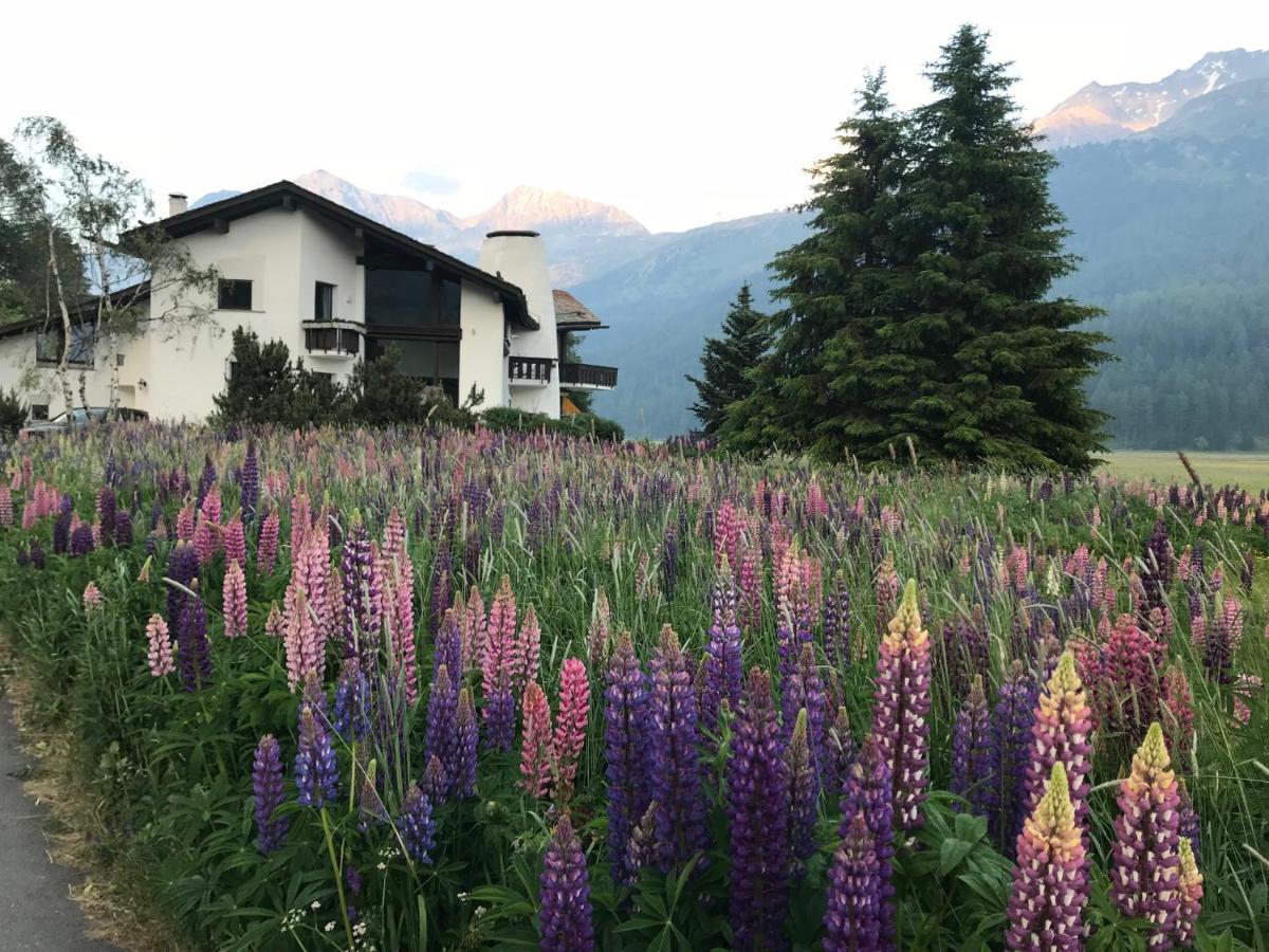 Chesa Suot Ovas Apartment Sils Maria Bagian luar foto