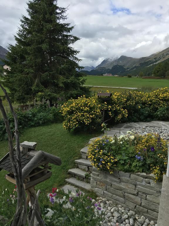 Chesa Suot Ovas Apartment Sils Maria Ruang foto
