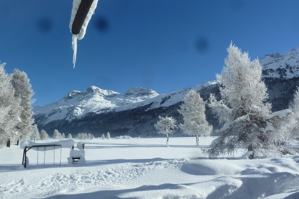 Chesa Suot Ovas Apartment Sils Maria Bagian luar foto