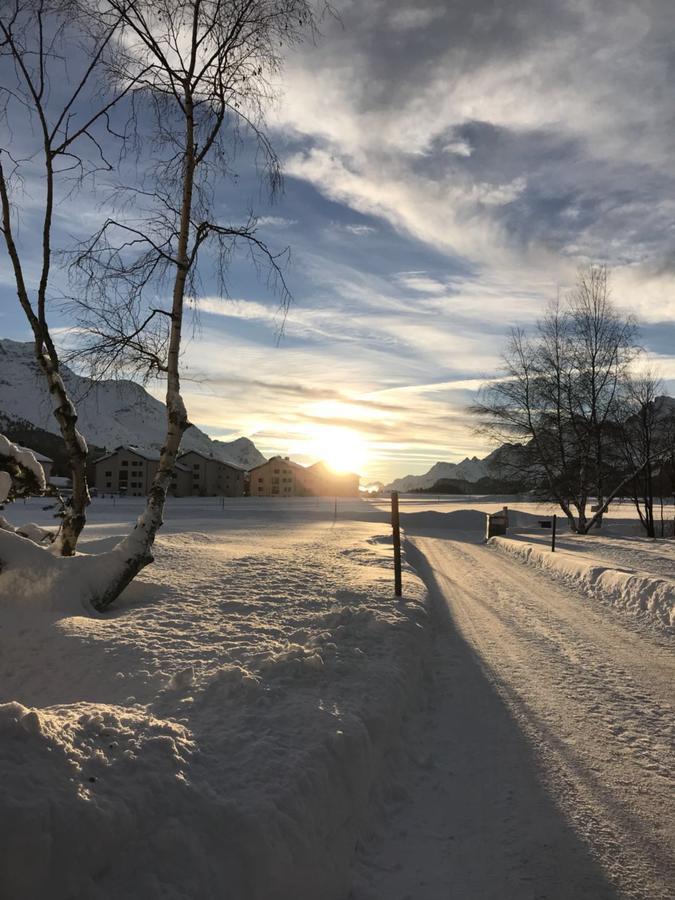 Chesa Suot Ovas Apartment Sils Maria Bagian luar foto