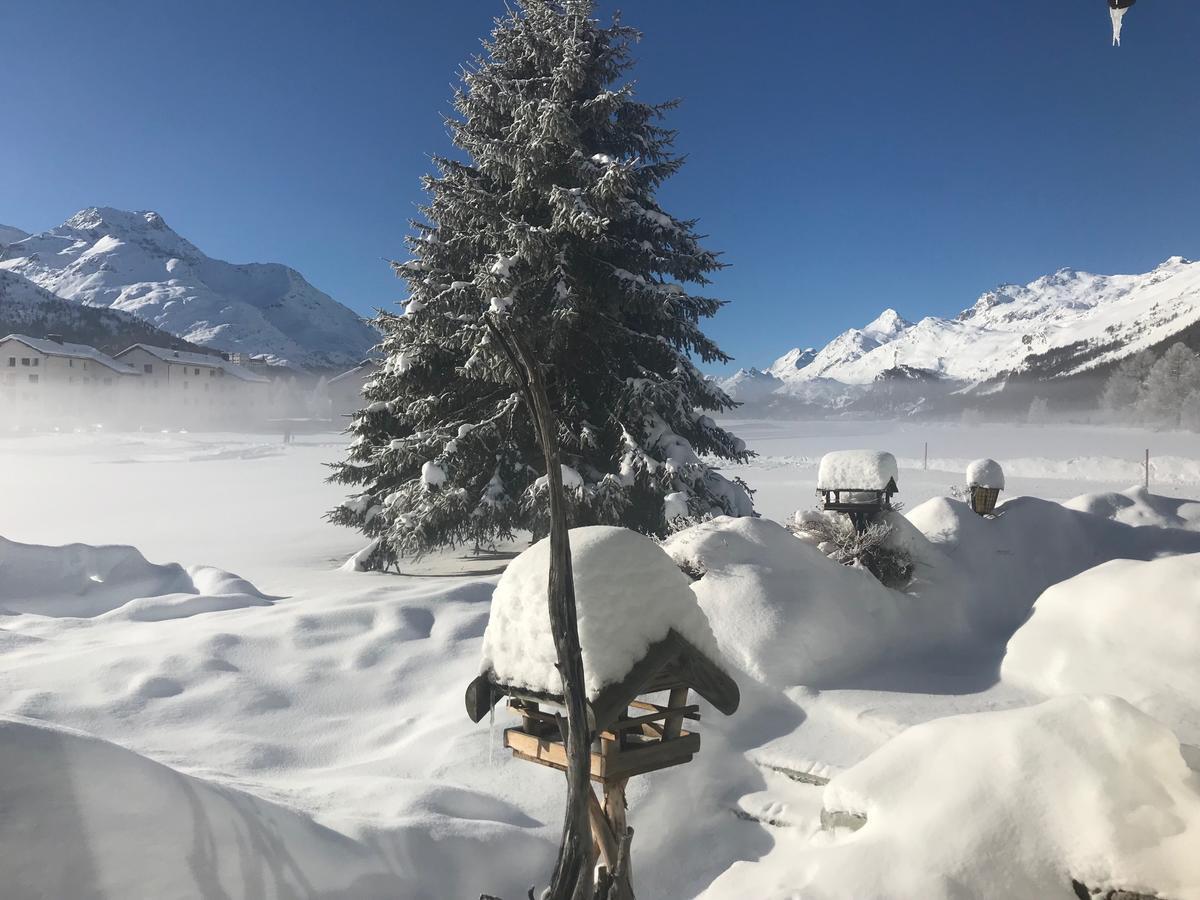 Chesa Suot Ovas Apartment Sils Maria Bagian luar foto